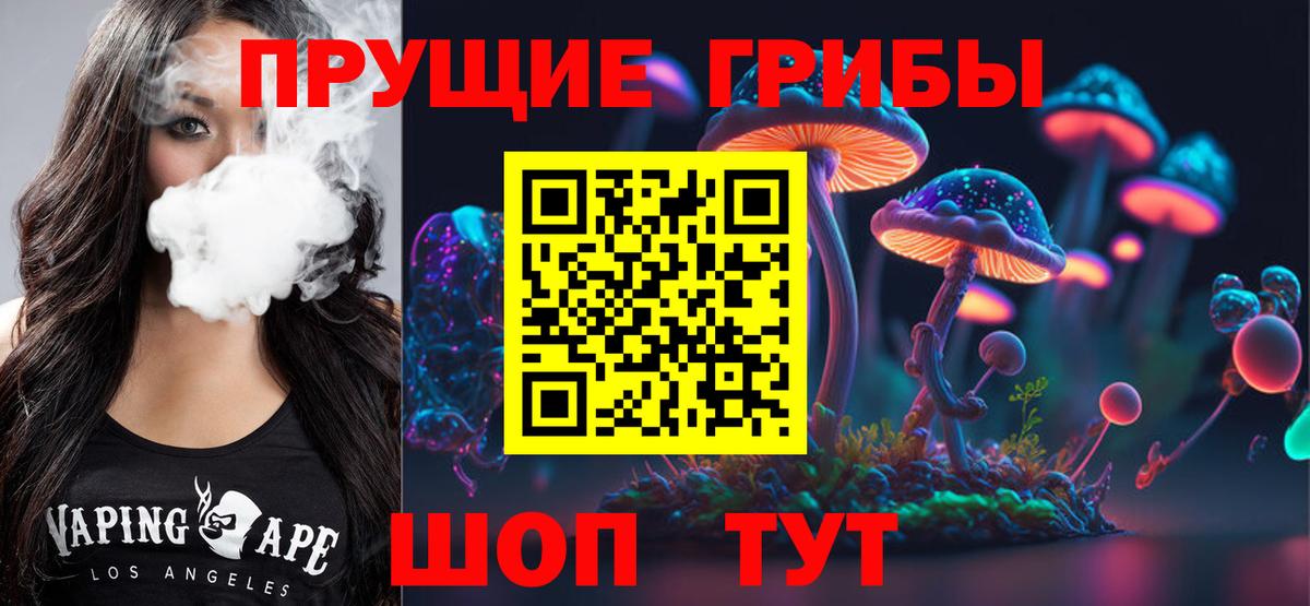 магазин  наркотиков  Галлюциногенные грибы MAGIC MUSHROOMS  Новоалександровск  Вход с VPN  Галлюциногенные грибы Cubensis 